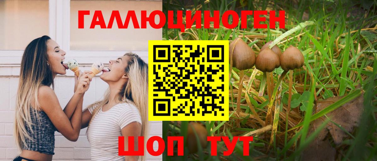 Галлюциногенные грибы ЛСД Гуково