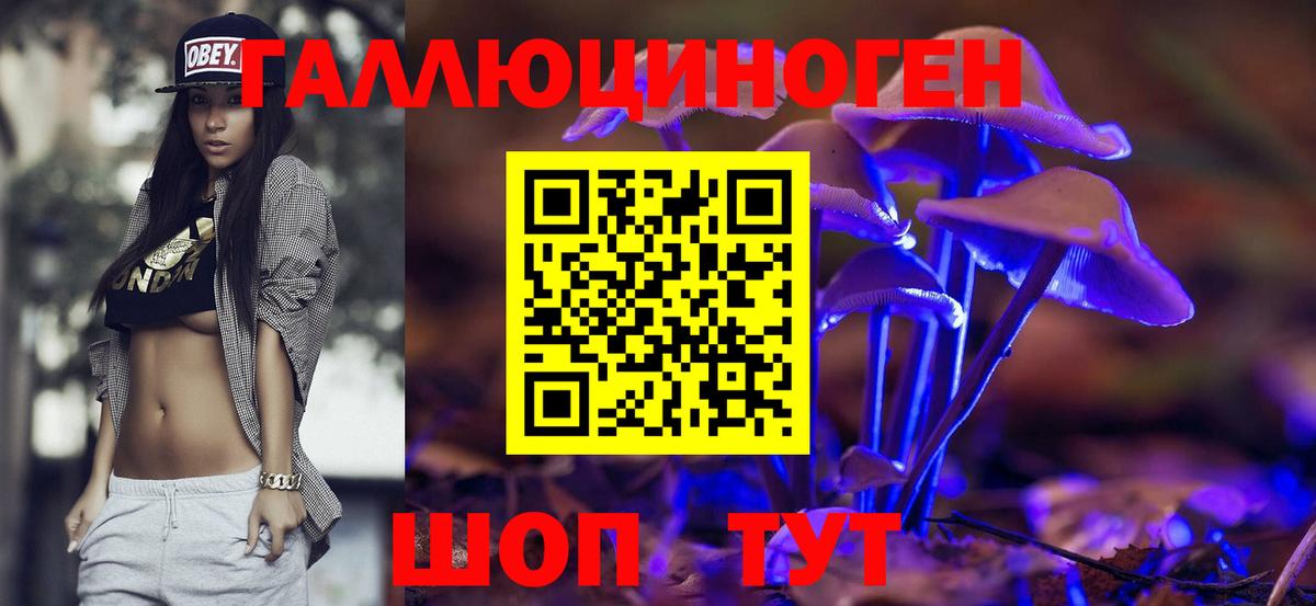 Псилоцибиновые грибы MAGIC MUSHROOMS  Псилоцибиновые грибы Psilocybe  Гуково  Вход с VPN 